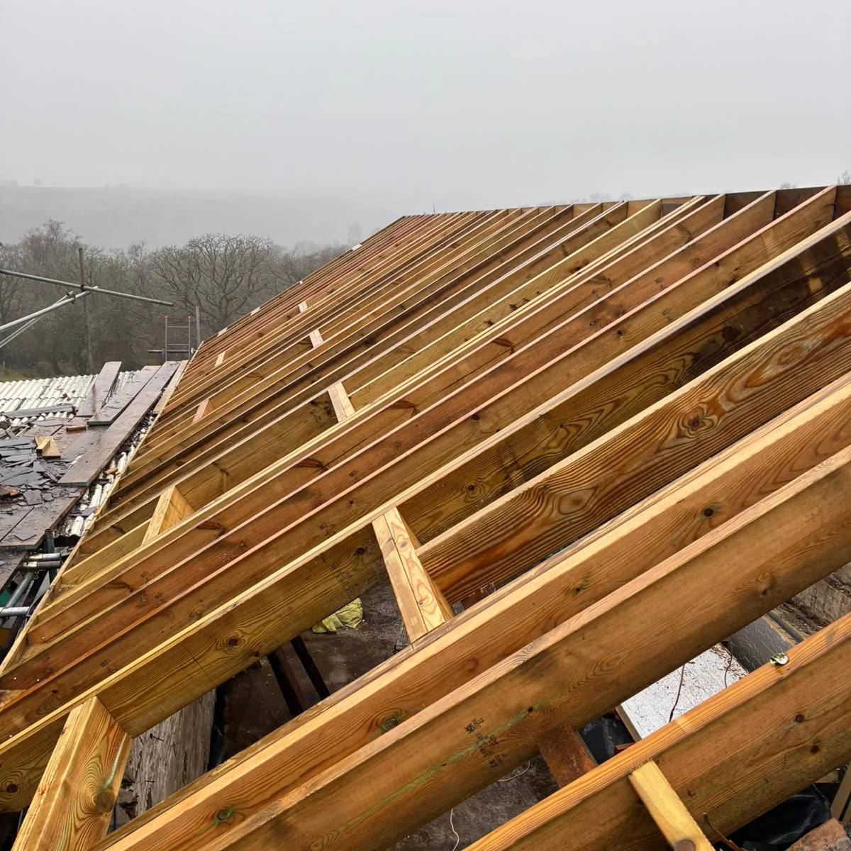 roof-joist-installation-swansea-daffodil-carpentry Fresh timber joists across the full span, Swansea