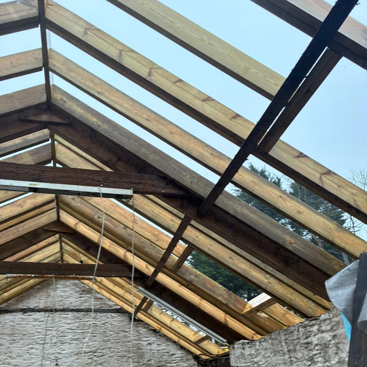 roof-restoration-skylights-swansea-daffodil-carpentry Skylights framed into the insulated roof, Swansea
